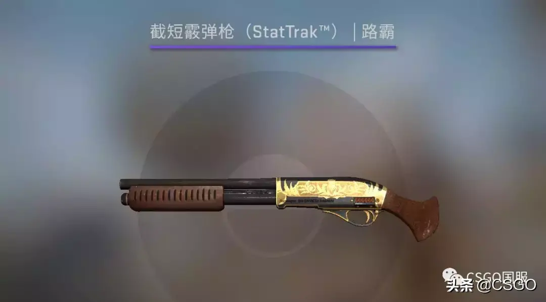 「csgo皮肤控」荒野反叛！先锋大行动武器箱介绍