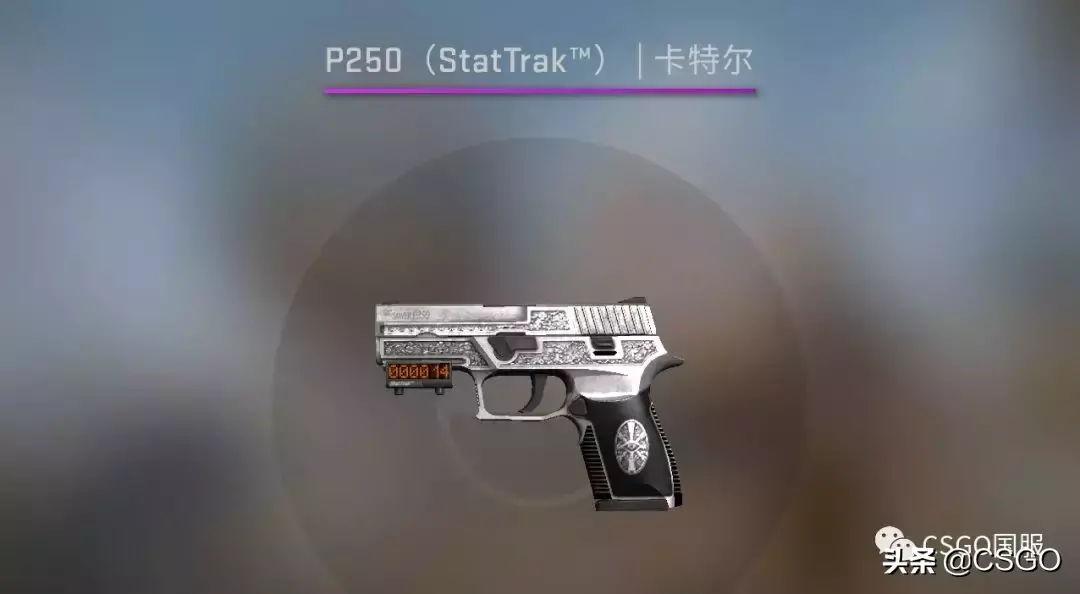 「csgo皮肤控」荒野反叛！先锋大行动武器箱介绍