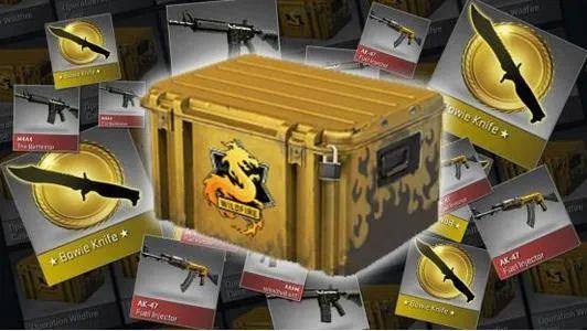 csgo开箱新手必看，csgo开箱子几块钱一个