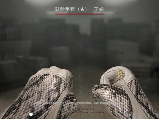 csgo手套饰品最贵的多少钱(csgo手套饰品最贵的是什么)?