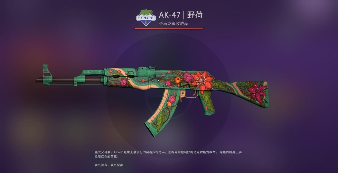 csgo职业哥最爱饰品是谁(职业哥饰品搭配)？