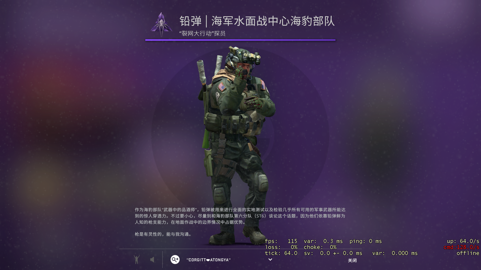 csgo人物皮肤哪个好用(所有地图都能用吗)?