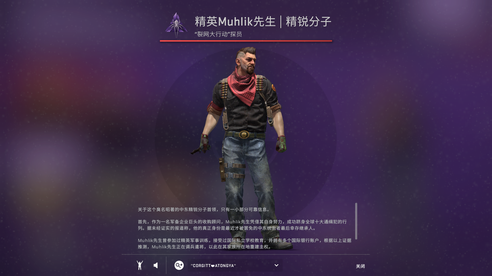 csgo人物皮肤哪个好用(所有地图都能用吗)?