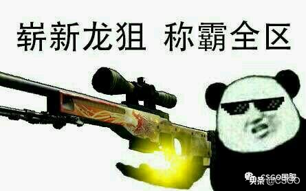 csgo的皮肤有什么用处(真的很重要吗)?