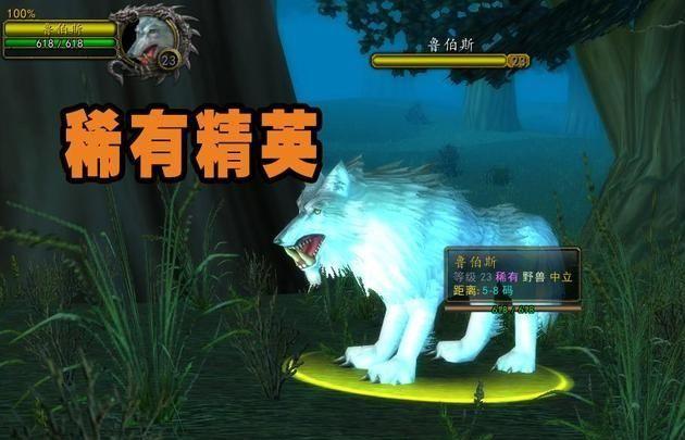 魔兽世界60级猎人稀有宠物大全