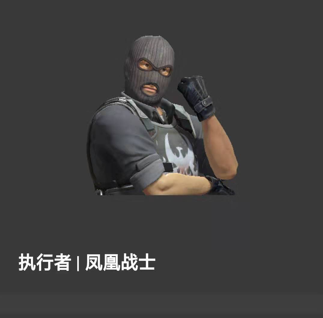 csgo执行者凤凰战士是警是匪,执行者凤凰战士第一视角