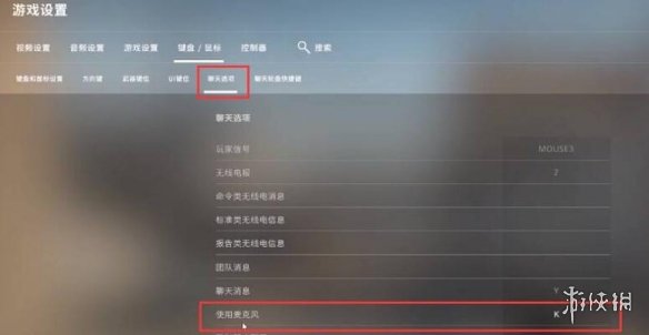 csgo怎么说话打字(csgo怎么语音交流)？