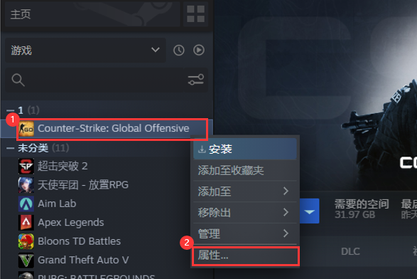 csgo怎么选择国服和国际服(csgo国服和国际服的区别)？