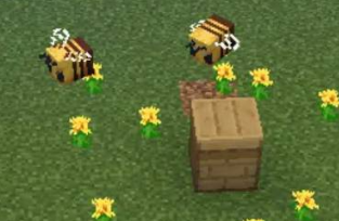 我的世界蜜蜂怎么养教程(我的世界蜜蜂怎么繁殖)？
