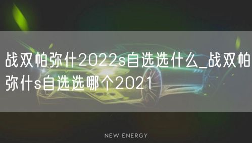 战双帕弥什2022s自选选什么_战双帕弥什s自选选哪个2021