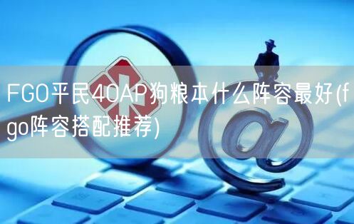 FGO平民40AP狗粮本什么阵容最好(fgo阵容搭配推荐)