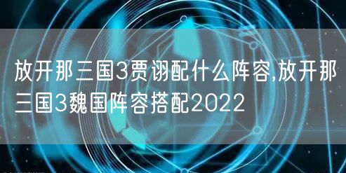 放开那三国3贾诩配什么阵容,放开那三国3魏国阵容搭配2022