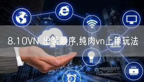 8.10VN 出装顺序,纯肉vn上单玩法