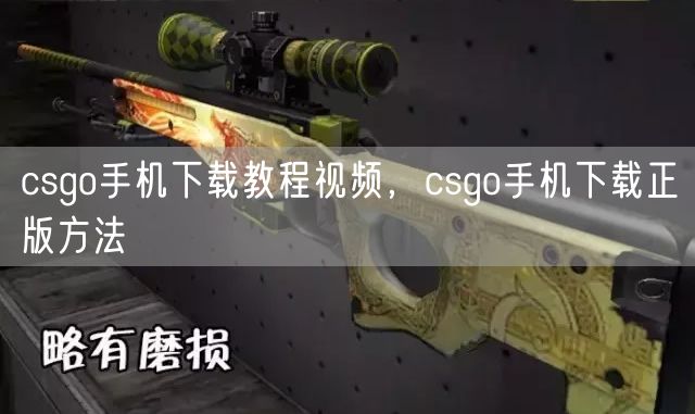 csgo手机下载教程视频，csgo手机下载正版方法