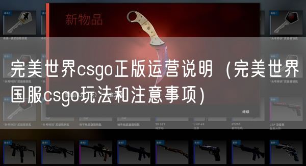 完美世界csgo正版运营说明（完美世界国服csgo玩法和注意事项）