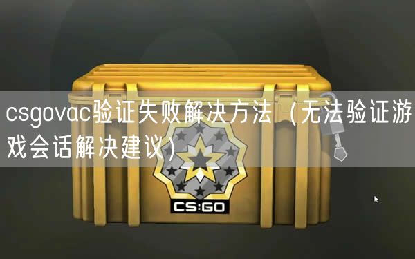 csgovac验证失败解决方法（无法验证游戏会话解决建议）