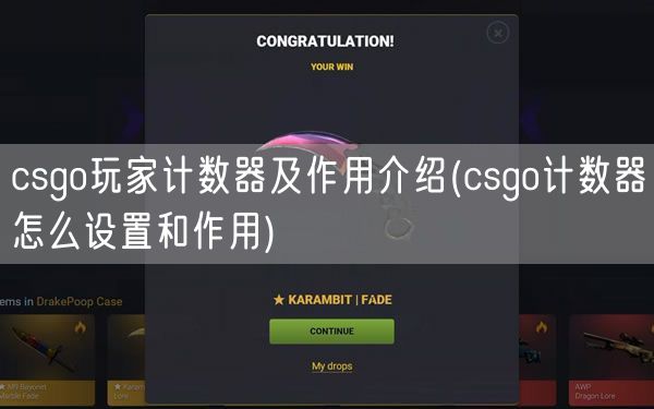 csgo玩家计数器及作用介绍(csgo计数器怎么设置和作用)