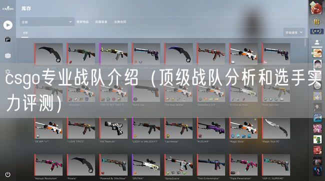 csgo专业战队介绍（顶级战队分析和选手实力评测）