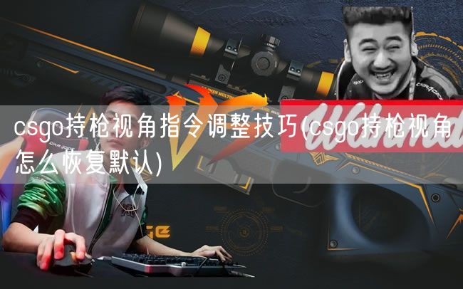 csgo持枪视角指令调整技巧(csgo持枪视角怎么恢复默认)