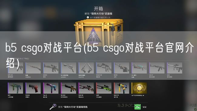 b5 csgo对战平台(b5 csgo对战平台官网介绍）