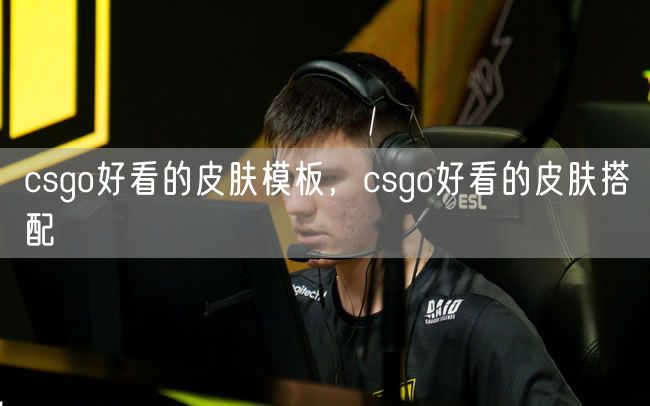 csgo好看的皮肤模板，csgo好看的皮肤搭配