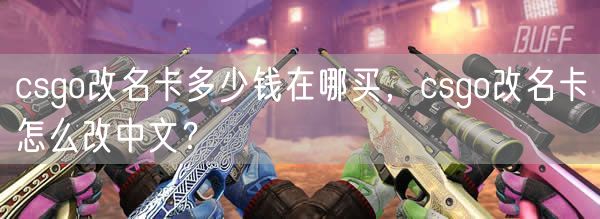 csgo改名卡多少钱在哪买，csgo改名卡怎么改中文？