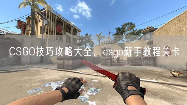 CSGO技巧攻略大全，csgo新手教程关卡