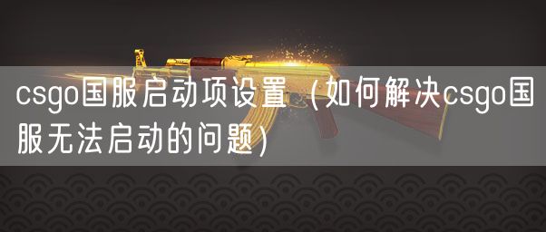 csgo国服启动项设置（如何解决csgo国服无法启动的问题）