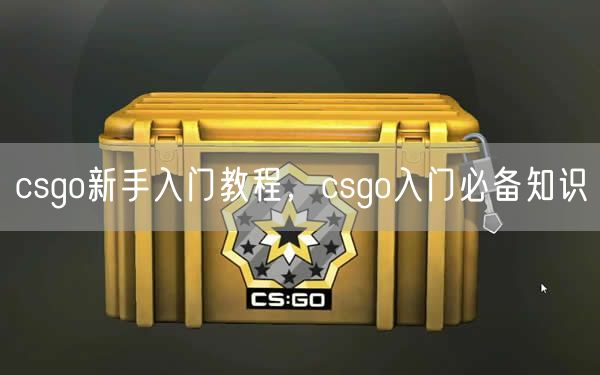 csgo新手入门教程，csgo入门必备知识