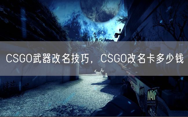 CSGO武器改名技巧，CSGO改名卡多少钱