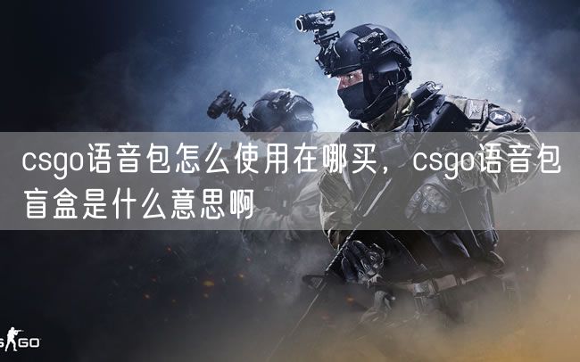 csgo语音包怎么使用在哪买，csgo语音包盲盒是什么意思啊