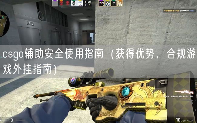 csgo辅助安全使用指南（获得优势，合规游戏外挂指南）