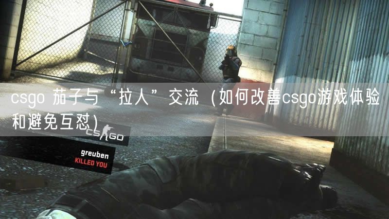 csgo 茄子与“拉人”交流（如何改善csgo游戏体验和避免互怼）