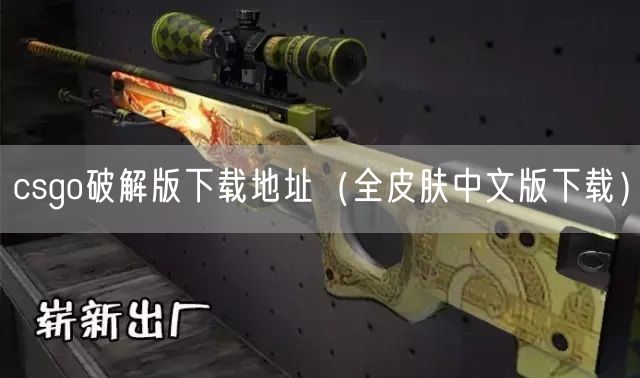 csgo破解版下载地址（全皮肤中文版下载）