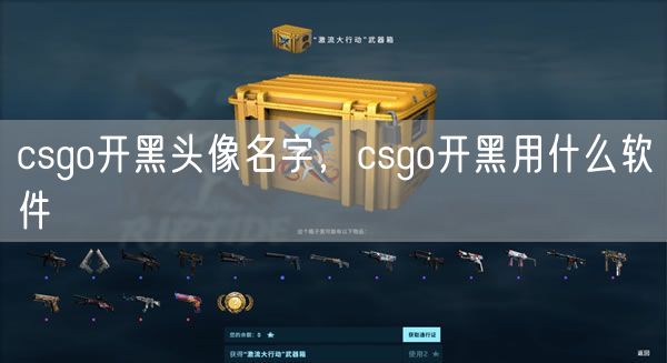 csgo开黑头像名字，csgo开黑用什么软件