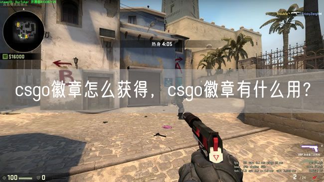 csgo徽章怎么获得，csgo徽章有什么用？