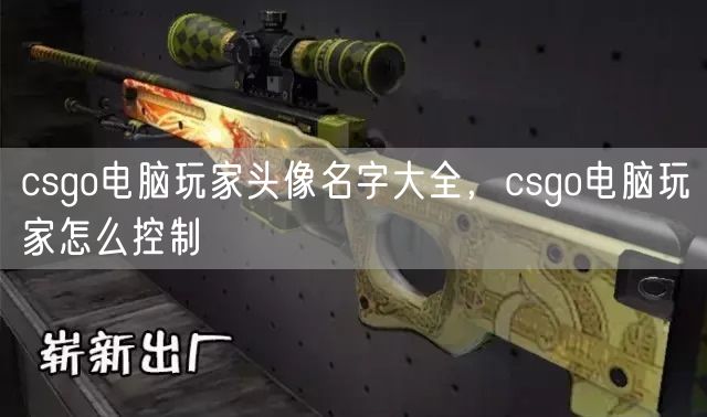 csgo电脑玩家头像名字大全，csgo电脑玩家怎么控制