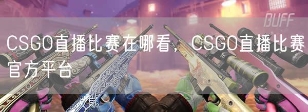 CSGO直播比赛在哪看，CSGO直播比赛官方平台