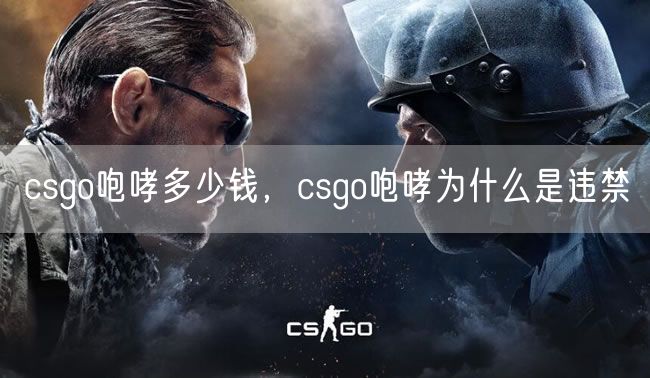 csgo咆哮多少钱，csgo咆哮为什么是违禁