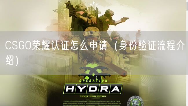 CSGO荣耀认证怎么申请（身份验证流程介绍）