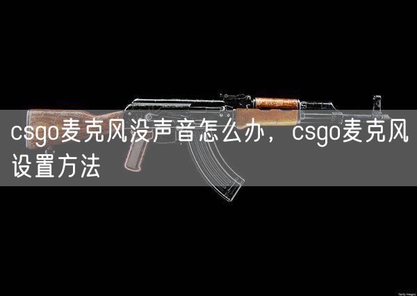 csgo麦克风没声音怎么办，csgo麦克风设置方法