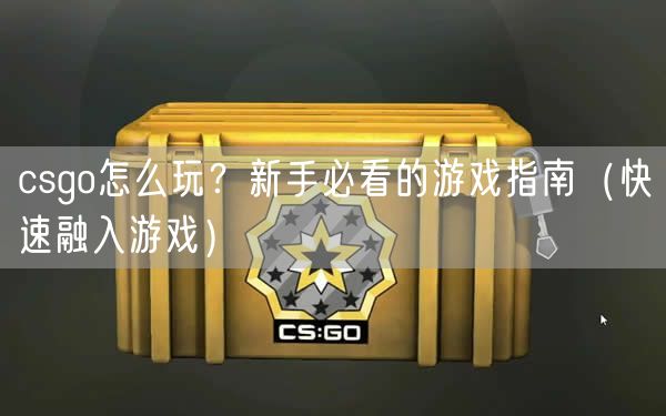 csgo怎么玩？新手必看的游戏指南（快速融入游戏）