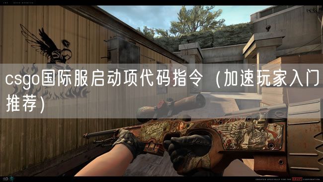 csgo国际服启动项代码指令（加速玩家入门推荐）