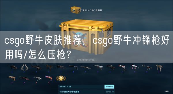 csgo野牛皮肤推荐，csgo野牛冲锋枪好用吗/怎么压枪？