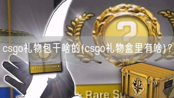 csgo礼物包干啥的(csgo礼物盒里有啥)？