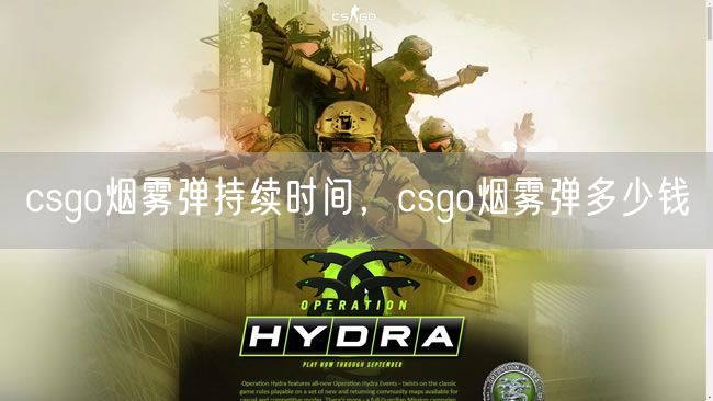 csgo烟雾弹持续时间，csgo烟雾弹多少钱