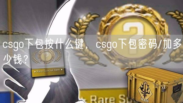 csgo下包按什么键，csgo下包密码/加多少钱？