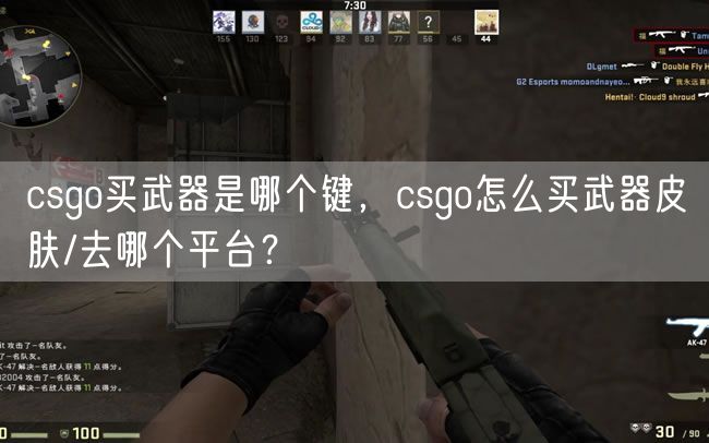 csgo买武器是哪个键，csgo怎么买武器皮肤/去哪个平台？