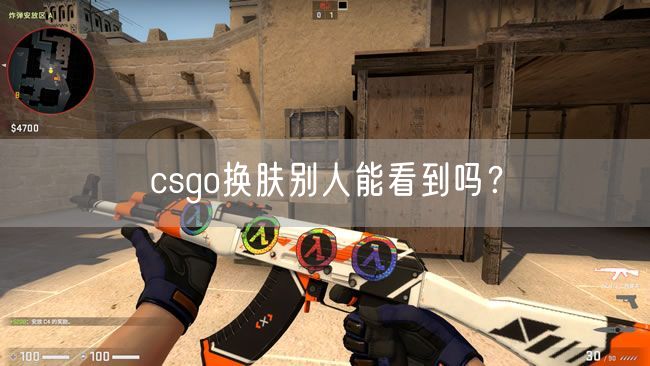 csgo换肤别人能看到吗？