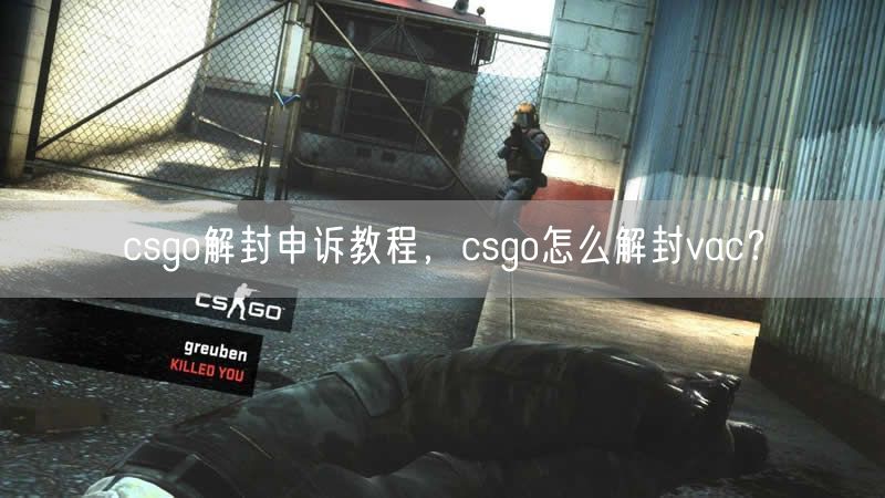 csgo解封申诉教程，csgo怎么解封vac？